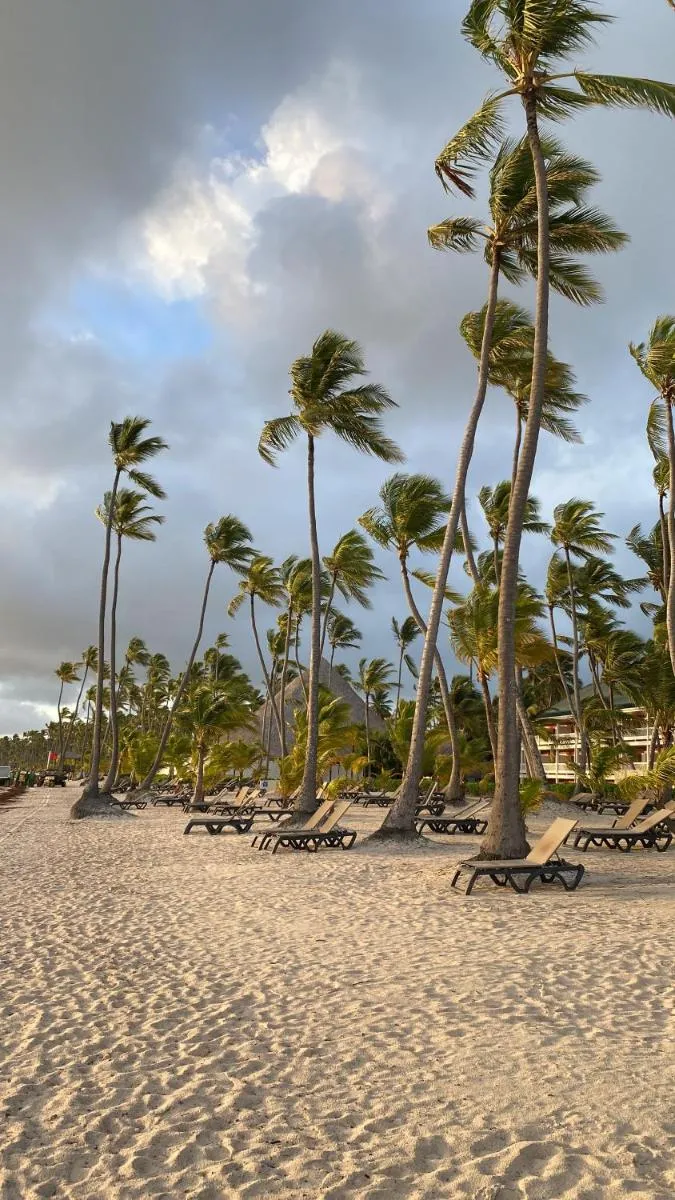 Image 4 of A Harmonious Place for you Close to the Beach