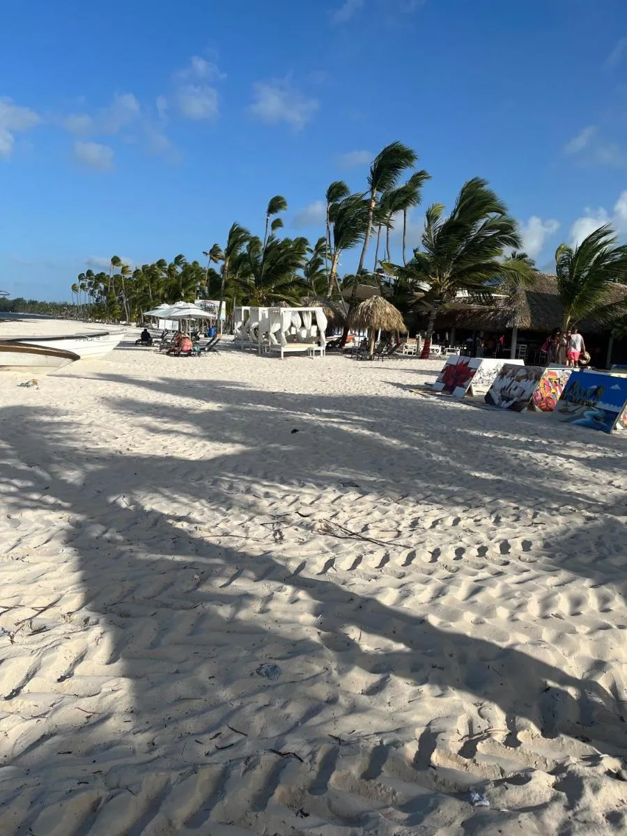 Image 4 of Arena Confort