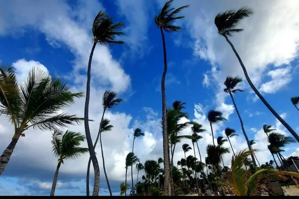 Image 5 of Ark Villa