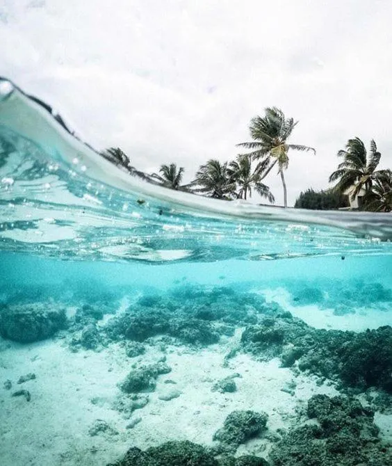 Image 3 of Blue SKY studios with Pool – Playa LOS CORALES