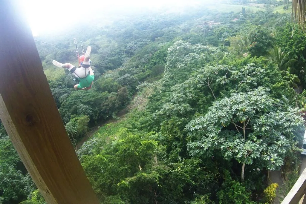 Image 3 of Caribbean Retreat at Cana Bay Golf Residence