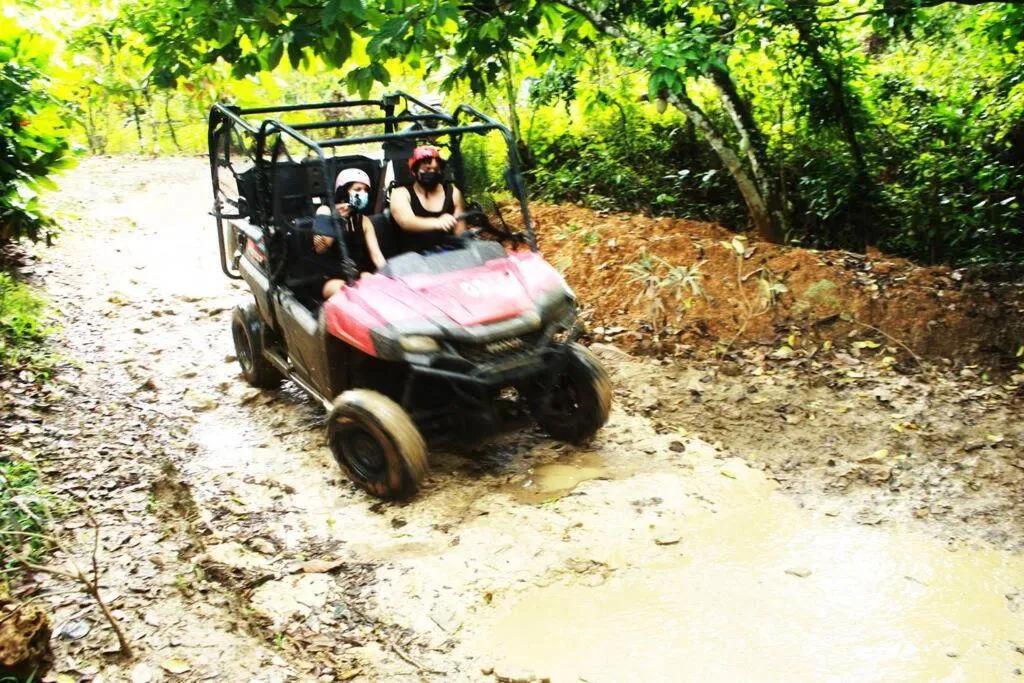 Image 6 of Caribbean Retreat at Cana Bay Golf Residence