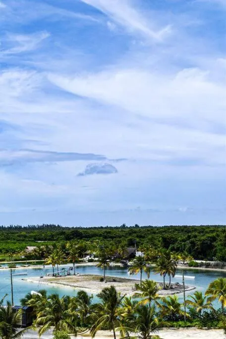 Image 5 of Downtown Punta Cana Vibrant Apartment!