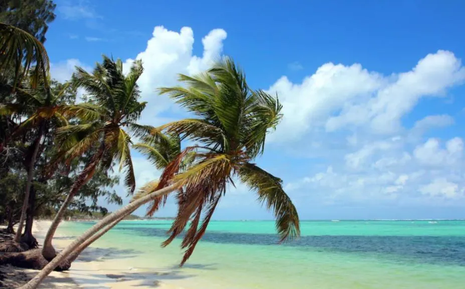 Image 1 of El Dorado Condo 303A