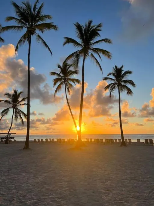 Image 3 of Exclusive brand new 3BR condo at Cap Cana