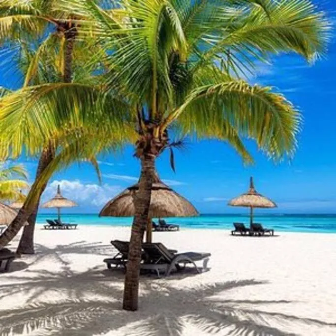 Image 4 of Home in Punta Cana