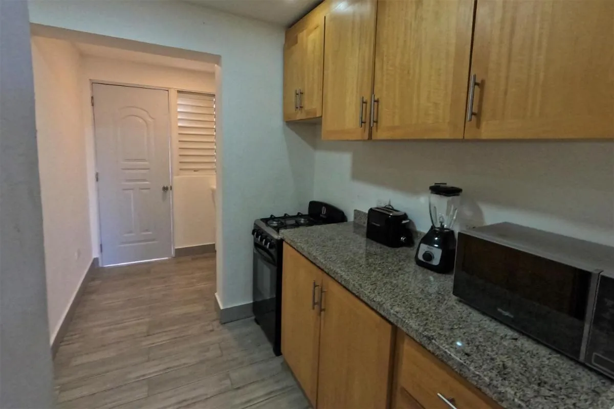 Image 3 of La Yarolina