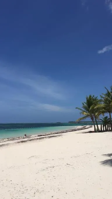 Image 3 of Luxury apartment a few steps from the beach