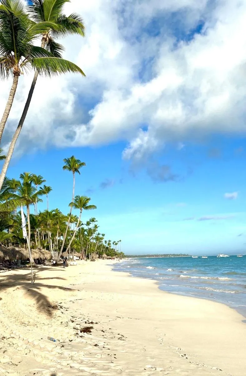 Image 3 of OASIS punta Cana central los corales