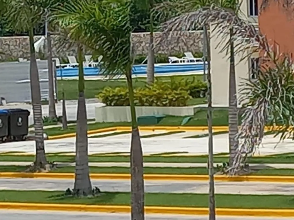 Image of Pool Breeze 202