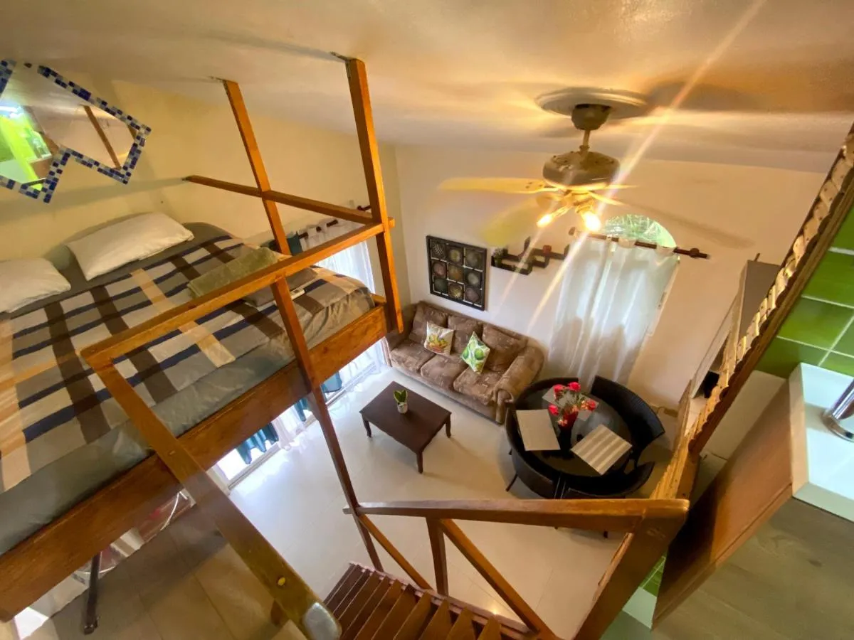 Image 2 of Private Study Punta Cana