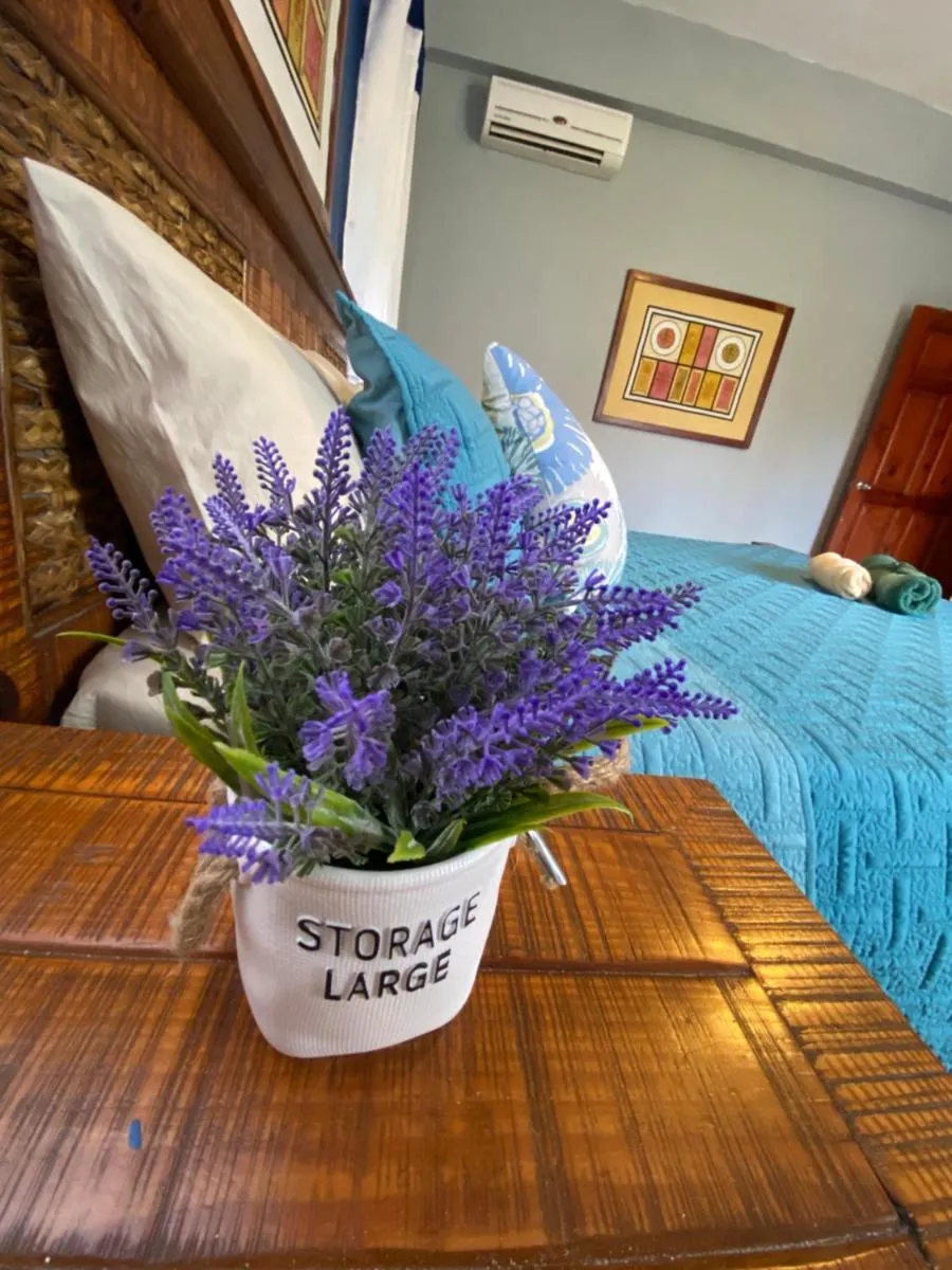 Image 1 of Punta Cana Los Corales Oasis Close to the Beach