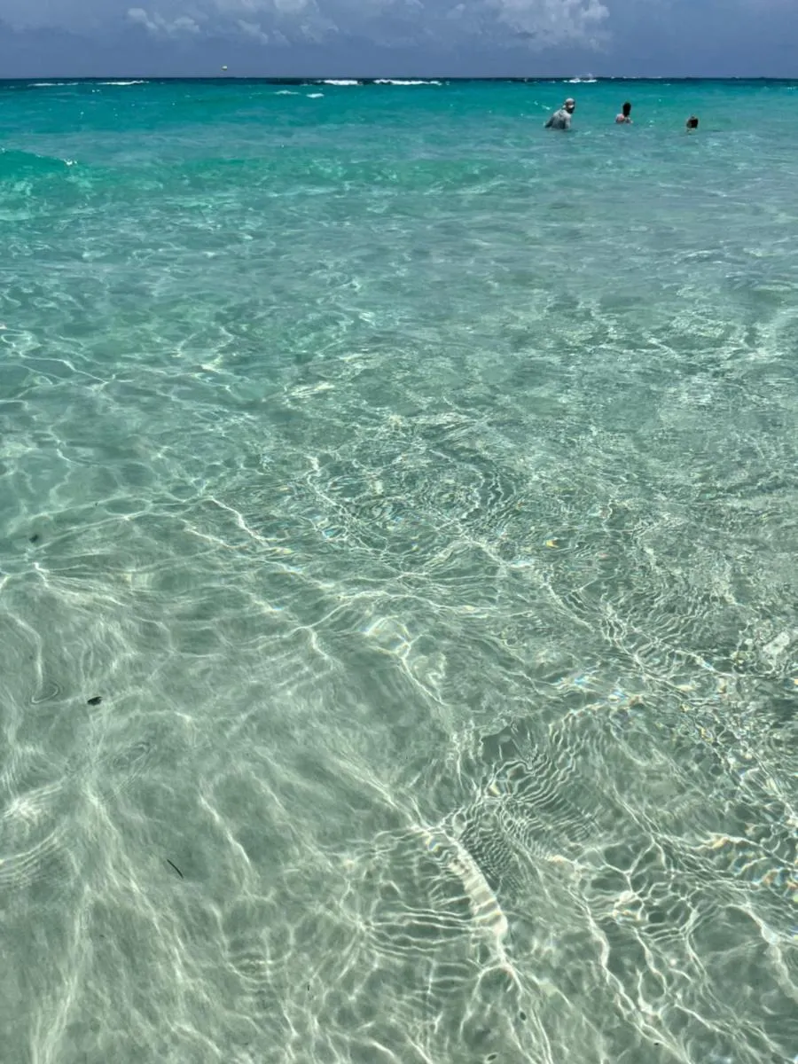 Image 1 of Punta cana bavaro hotel beach