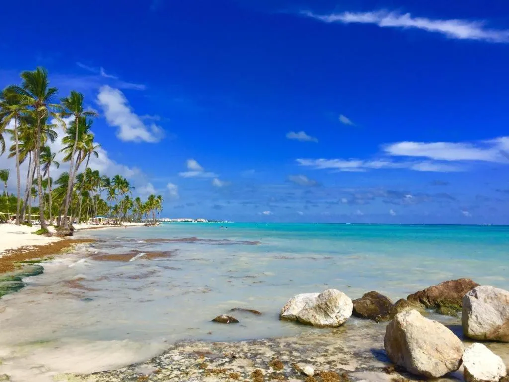 Image of SUITES with ROOFTOP pool Playa LOS CORALES, beach club & SPA