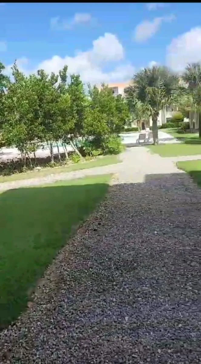 Image 3 of Serena star3