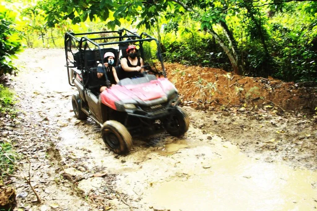 Image 4 of Tropical Deluxe 2 Bedroom Unit with Jacuzzi