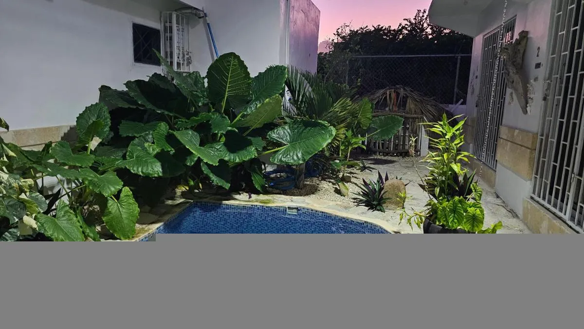 Image of Unique and quiet APARTMENTS La Botánica Tropical