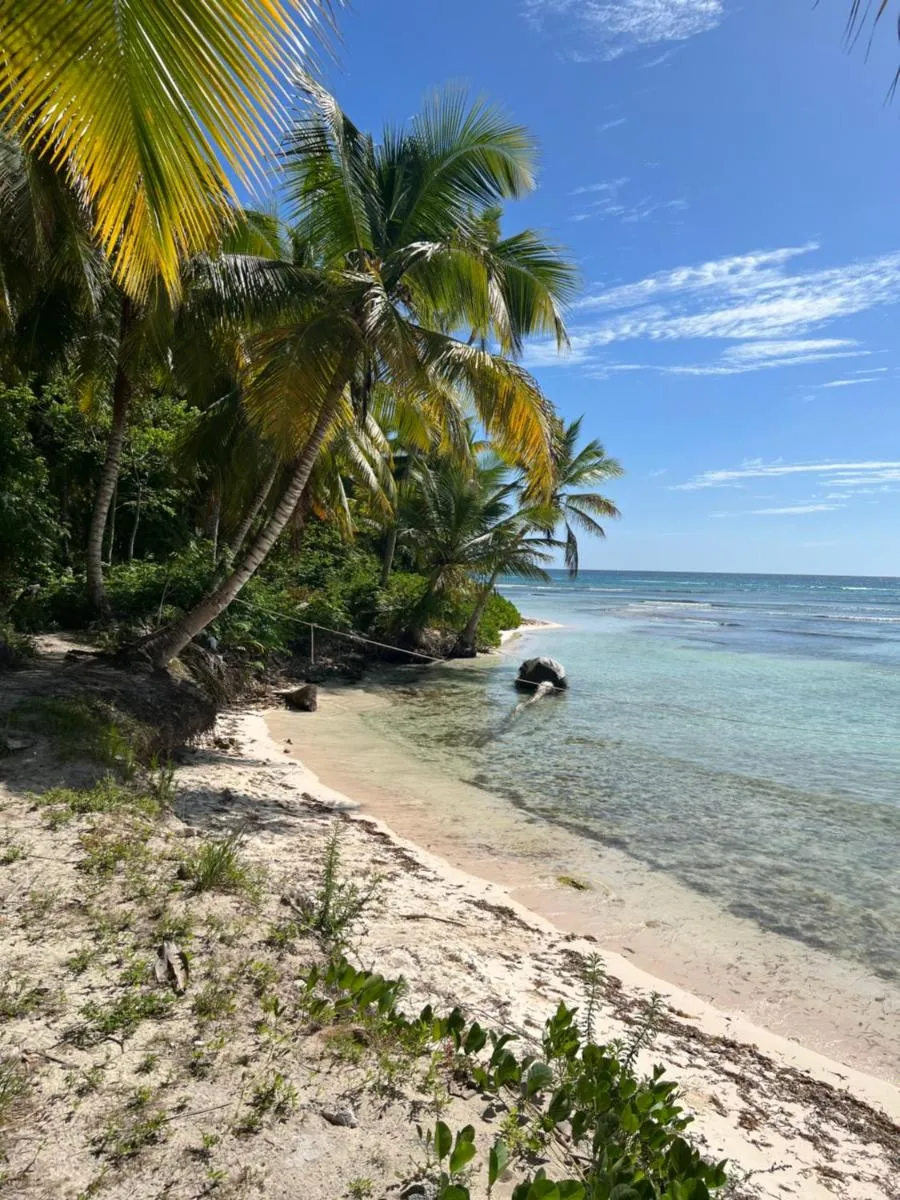 Image 5 of apparta hotel Punta Cana Los corales DUCASSI – SOL CARIBE
