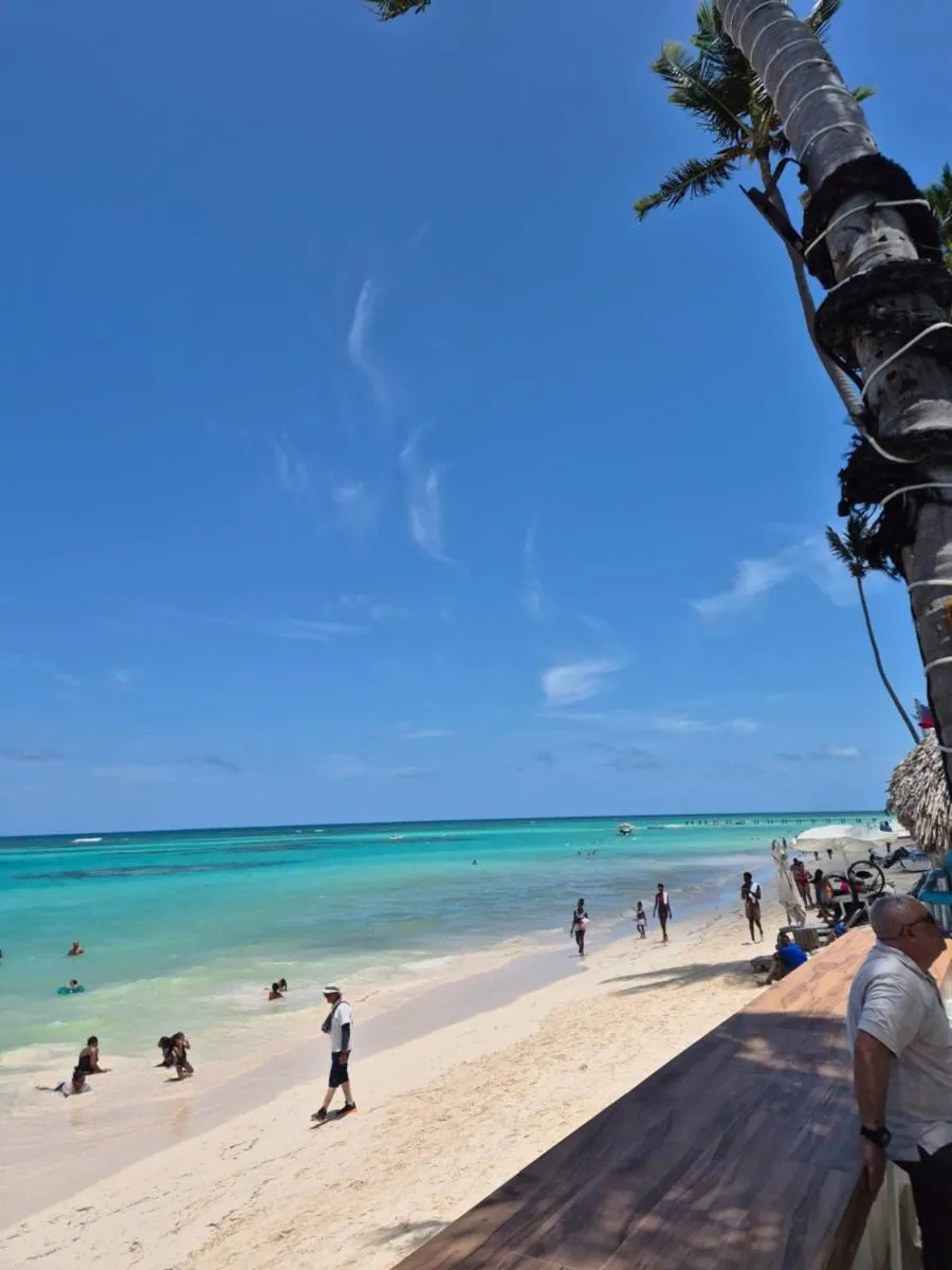 Image 1 of las buganvillas